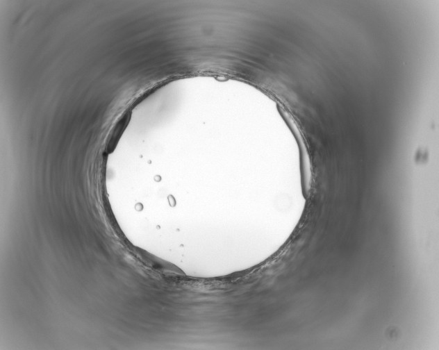 X0000093570241200711121044