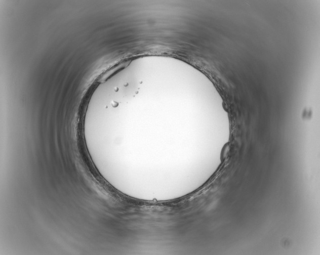 X0000093570242200711121044