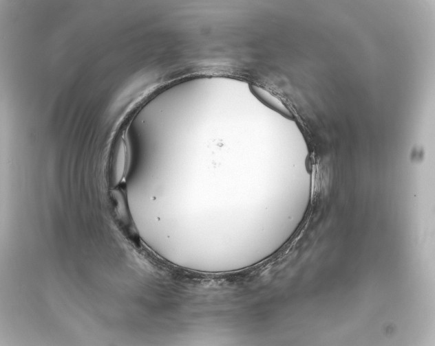 X0000093570243200711121044