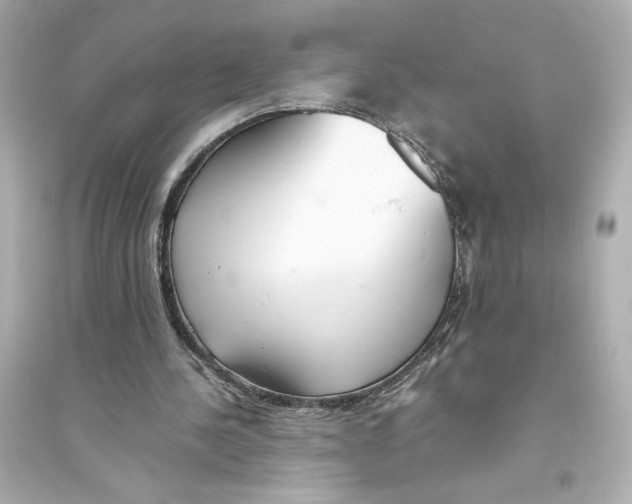 X0000093570244200711121044