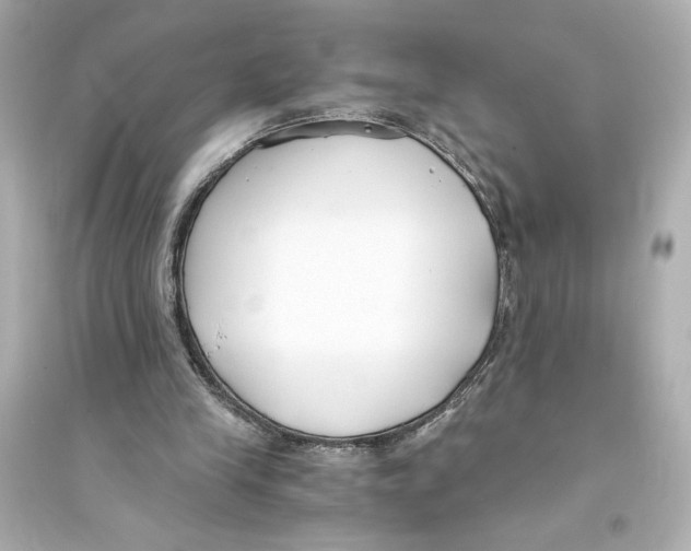 X0000093570245200711121044