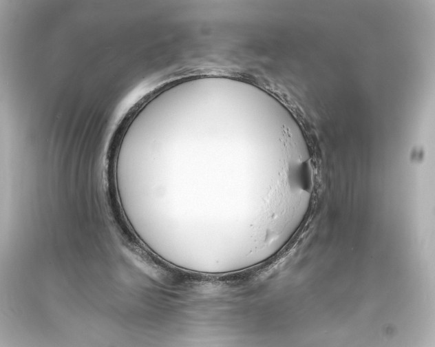 X0000093570246200711121044