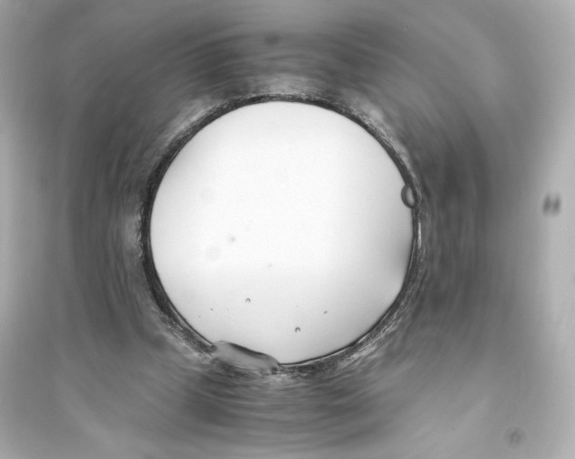 X0000093570249200711121044