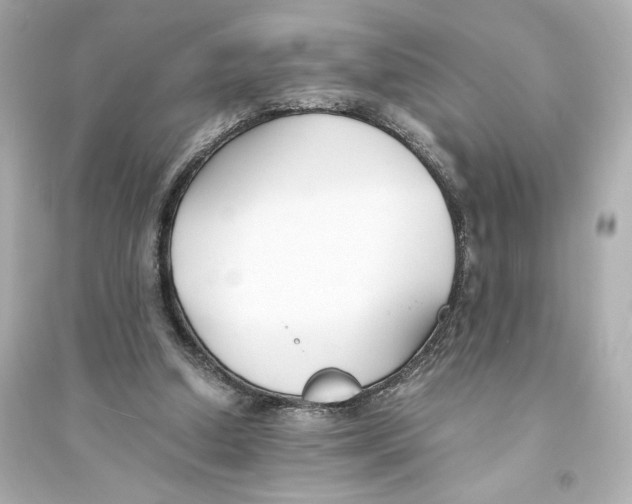 X0000093570250200711121044