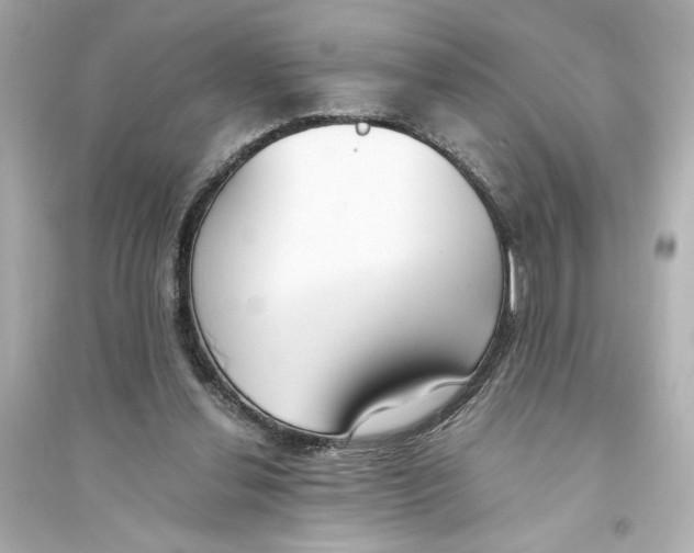 X0000093570252200711121044