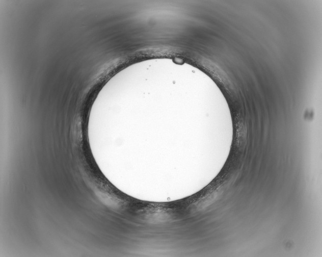 X0000093570254200711121044