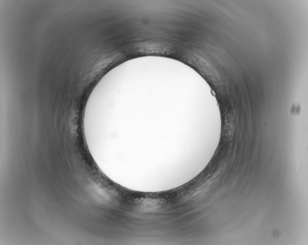 X0000093570255200711121044