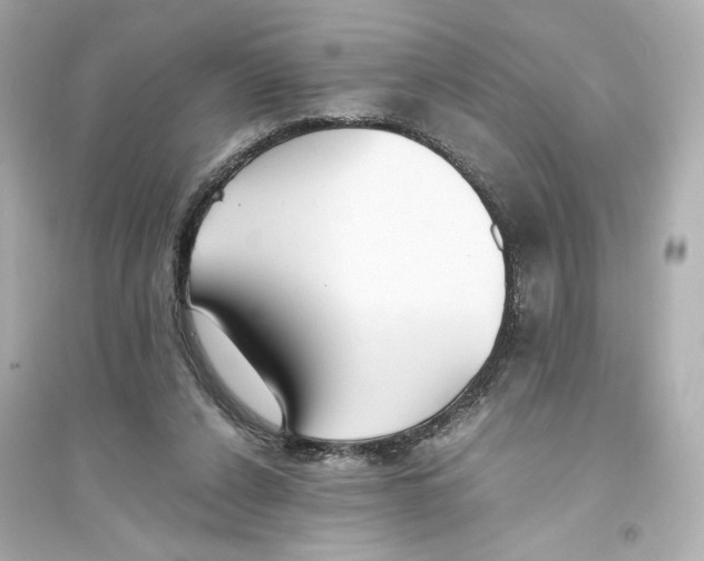 X0000093570256200711121044