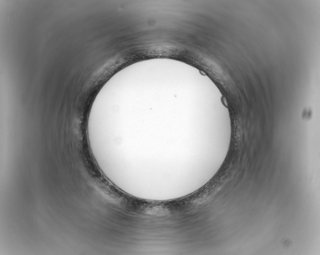X0000093570258200711121044