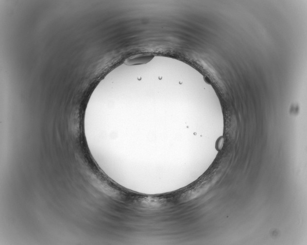 X0000093570261200711121044