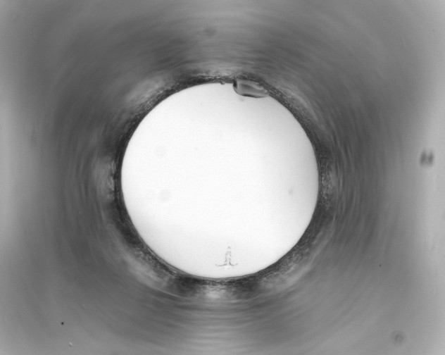 X0000093570264200711121044