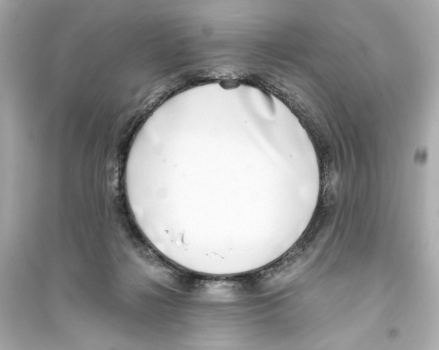 X0000093570268200711121044