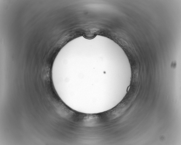 X0000093570274200711121044