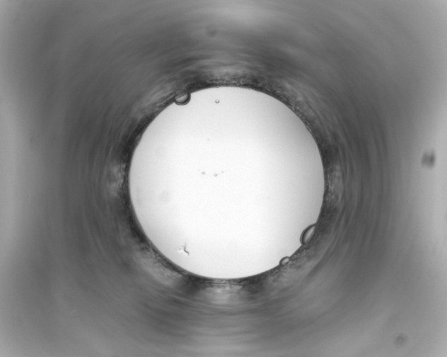 X0000093570278200711121044