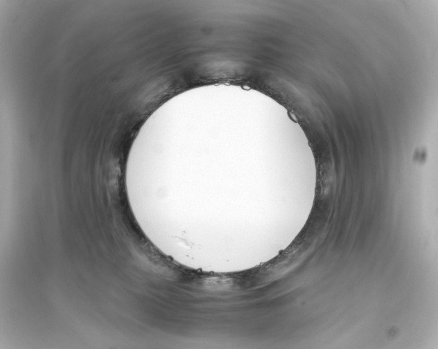 X0000093570279200711121044