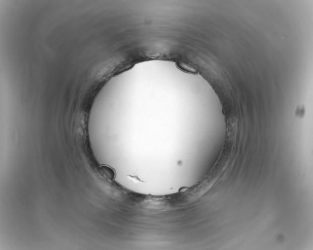 X0000093570280200711121044