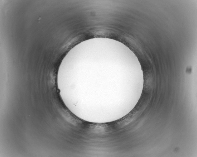 X0000093570282200711121044