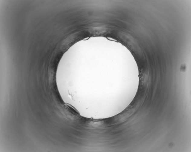 X0000093570283200711121044