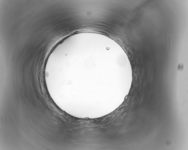 X0000093570289200711121044