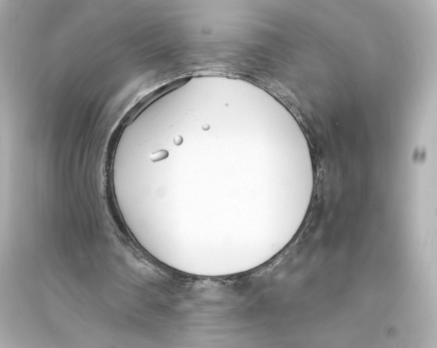 X0000093570290200711121044