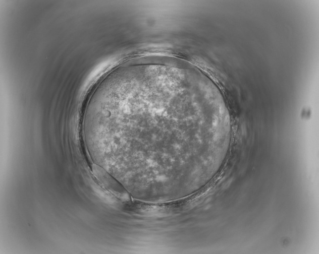 X0000093570293200711121044
