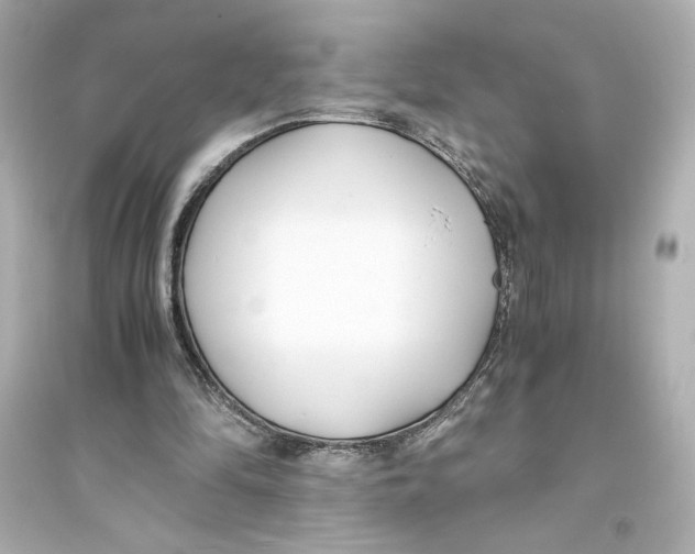 X0000093570294200711121044