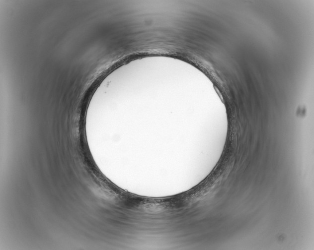 X0000093570299200711121043