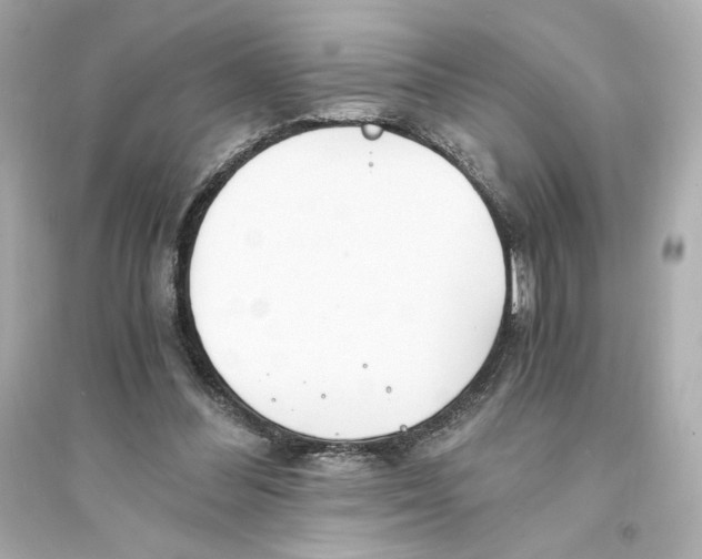 X0000093570300200711121043