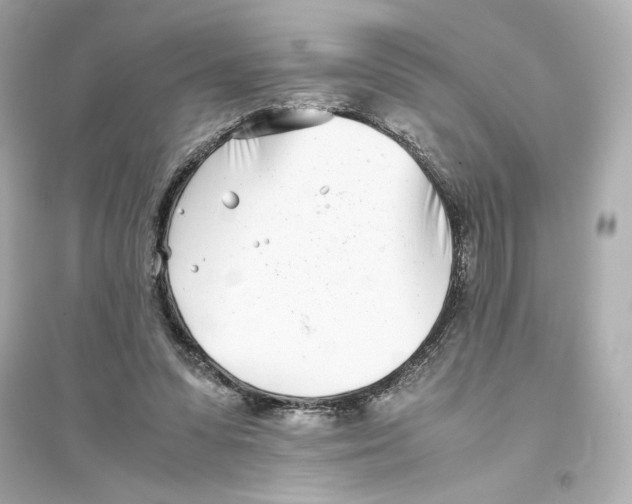 X0000093570303200711121043
