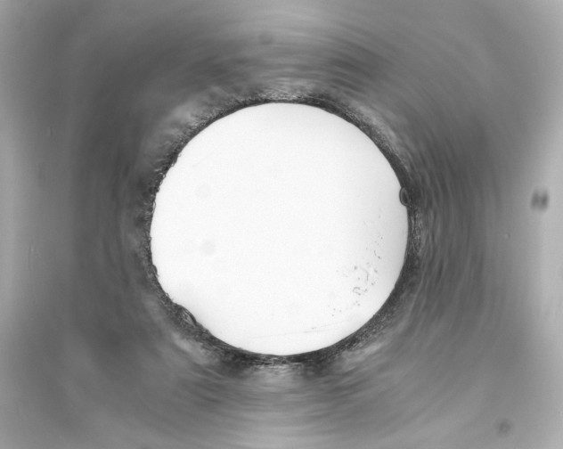 X0000093570307200711121043