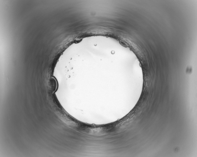 X0000093570309200711121043