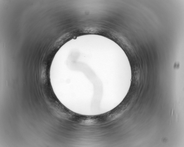 X0000093570312200711121043