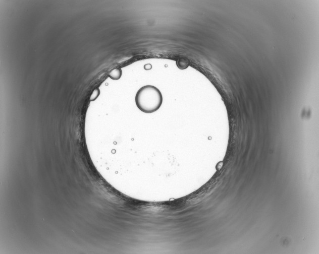 X0000093570313200711121043