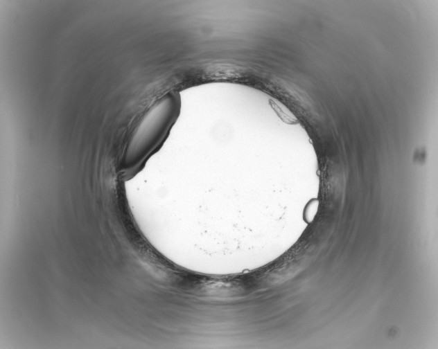 X0000093570315200711121043