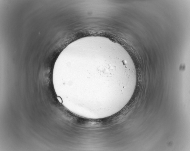 X0000093570319200711121043