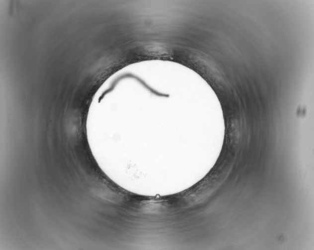 X0000093570320200711121043