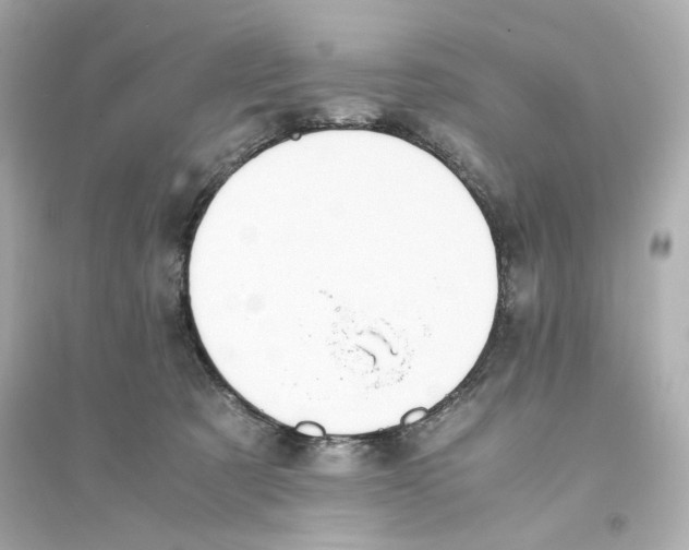 X0000093570321200711121043