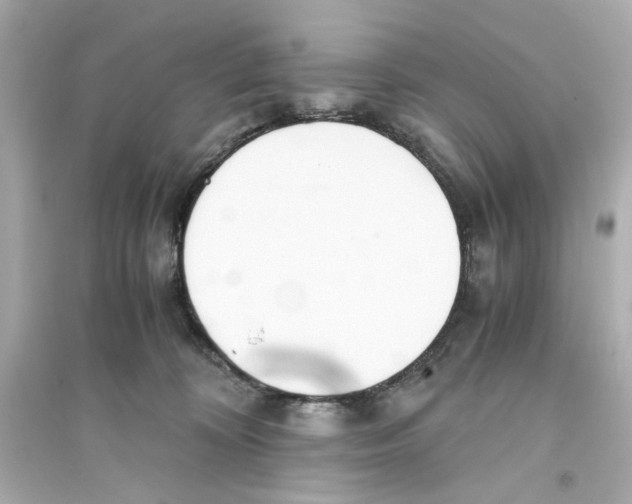 X0000093570324200711121043