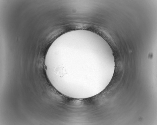 X0000093570325200711121043