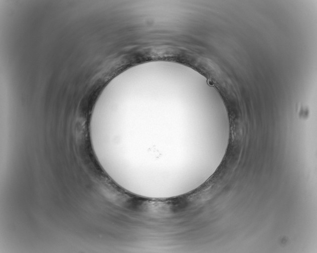 X0000093570327200711121043
