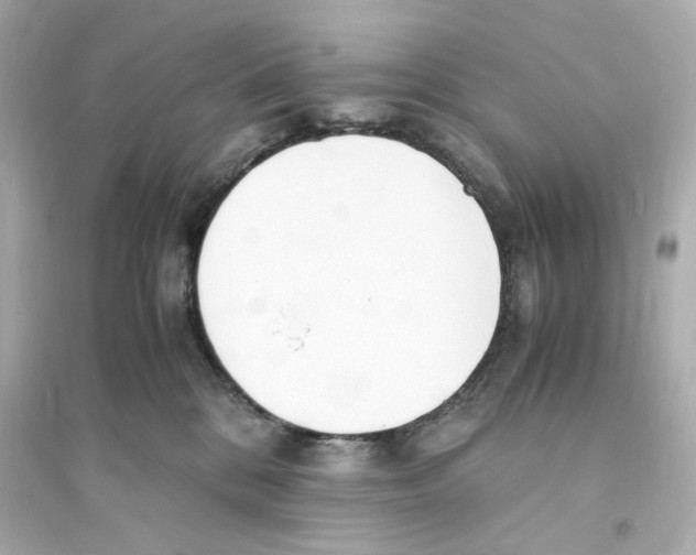 X0000093570328200711121043