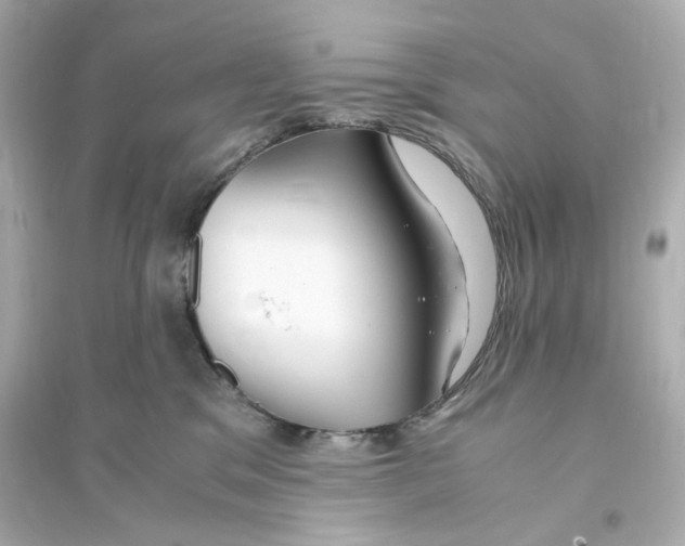 X0000093570329200711121043