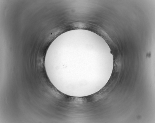 X0000093570330200711121043