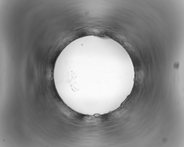 X0000093570331200711121043