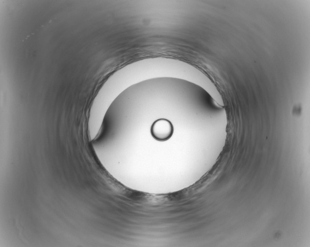 X0000093570333200711121043
