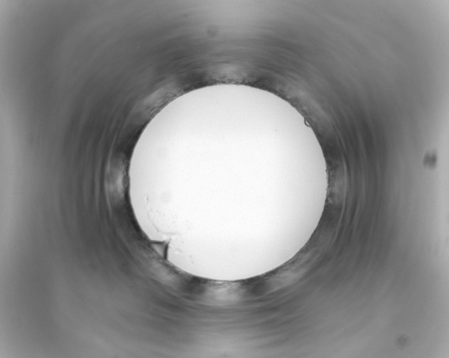 X0000093570334200711121043
