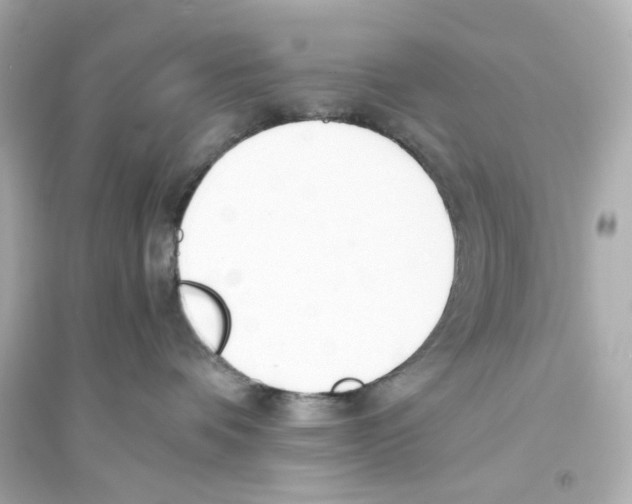X0000093570336200711121043