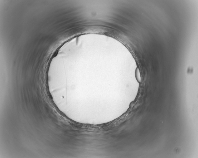 X0000093570337200711121042