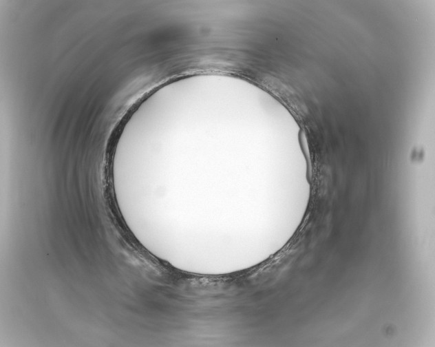 X0000093570338200711121042