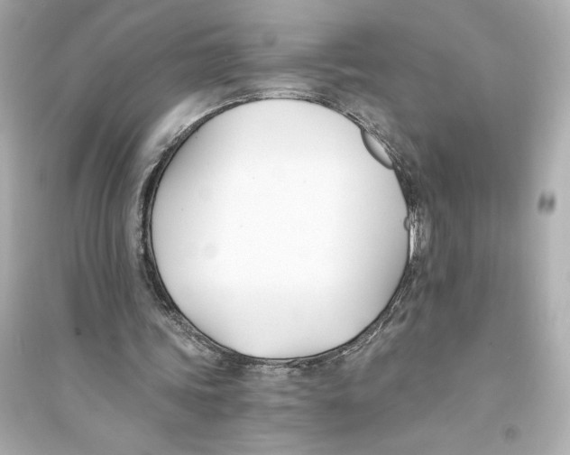 X0000093570339200711121042